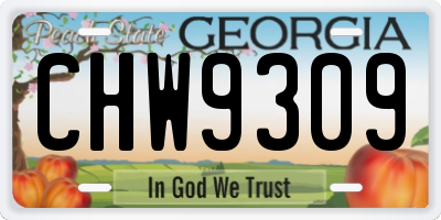 GA license plate CHW9309
