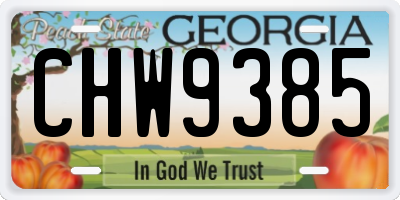 GA license plate CHW9385