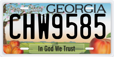 GA license plate CHW9585