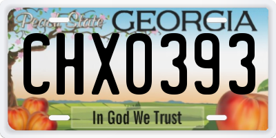 GA license plate CHX0393