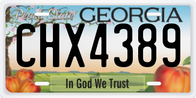 GA license plate CHX4389