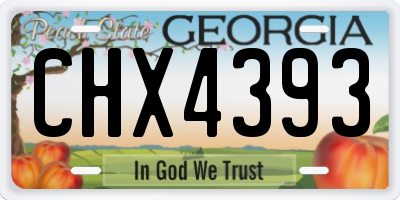 GA license plate CHX4393