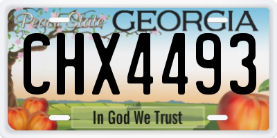 GA license plate CHX4493