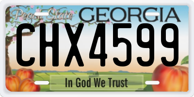 GA license plate CHX4599