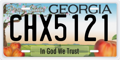 GA license plate CHX5121