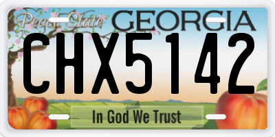 GA license plate CHX5142
