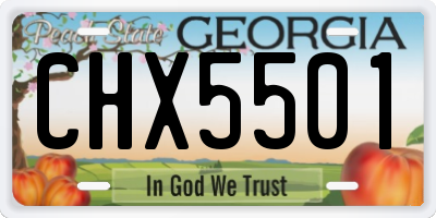 GA license plate CHX5501