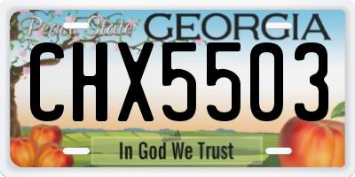 GA license plate CHX5503