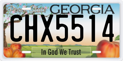 GA license plate CHX5514