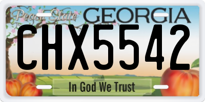 GA license plate CHX5542
