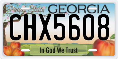 GA license plate CHX5608
