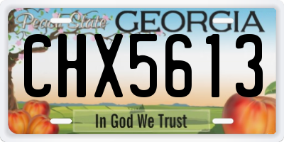 GA license plate CHX5613