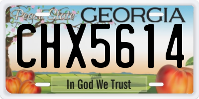 GA license plate CHX5614