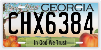 GA license plate CHX6384