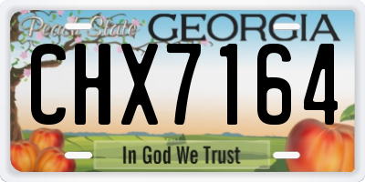 GA license plate CHX7164