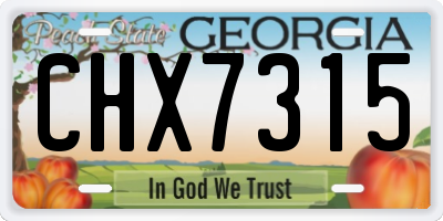 GA license plate CHX7315