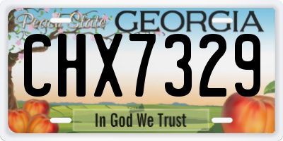 GA license plate CHX7329