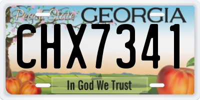 GA license plate CHX7341