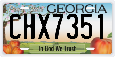 GA license plate CHX7351