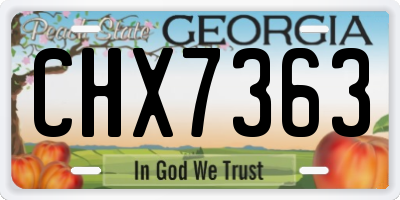 GA license plate CHX7363