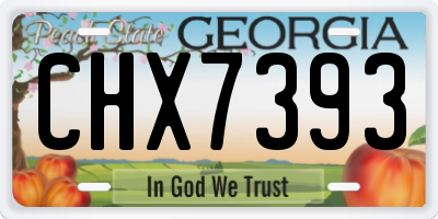 GA license plate CHX7393