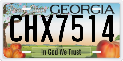 GA license plate CHX7514