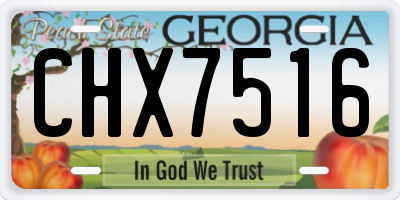 GA license plate CHX7516