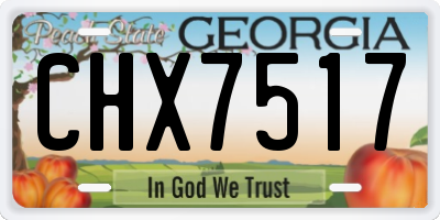 GA license plate CHX7517