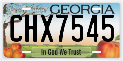 GA license plate CHX7545