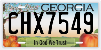 GA license plate CHX7549