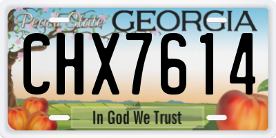GA license plate CHX7614