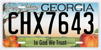 GA license plate CHX7643