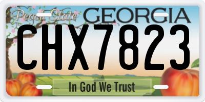 GA license plate CHX7823