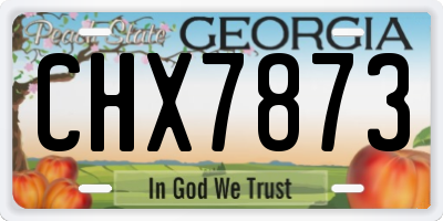 GA license plate CHX7873