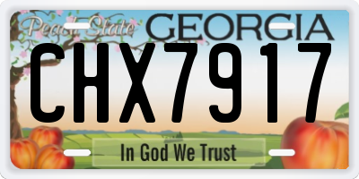 GA license plate CHX7917