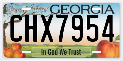GA license plate CHX7954