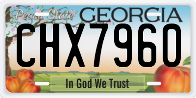 GA license plate CHX7960
