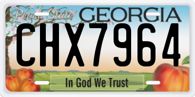 GA license plate CHX7964