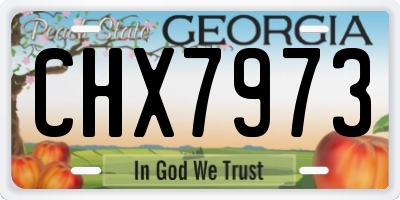 GA license plate CHX7973