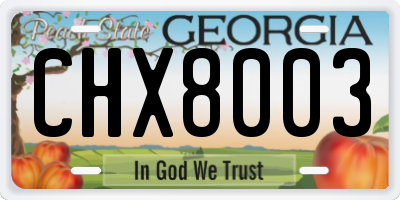 GA license plate CHX8003