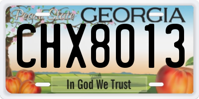 GA license plate CHX8013