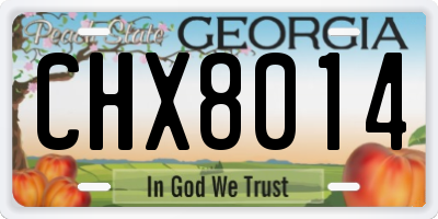 GA license plate CHX8014