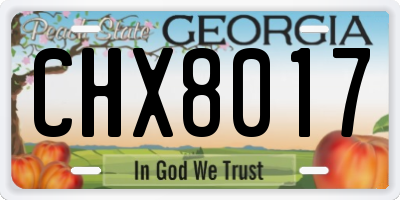 GA license plate CHX8017