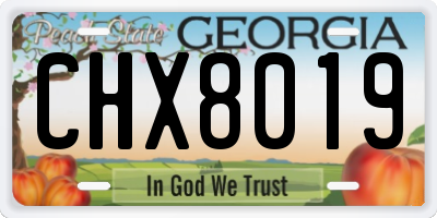 GA license plate CHX8019