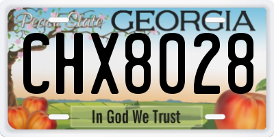 GA license plate CHX8028