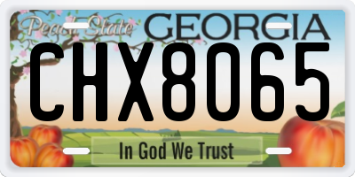 GA license plate CHX8065