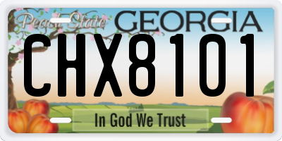 GA license plate CHX8101