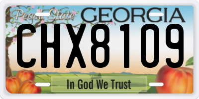 GA license plate CHX8109