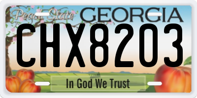 GA license plate CHX8203