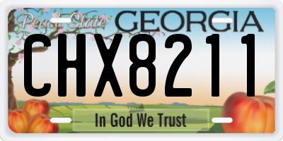 GA license plate CHX8211